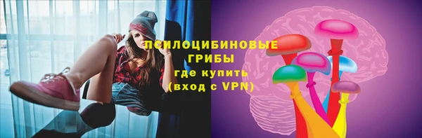 mdpv Володарск