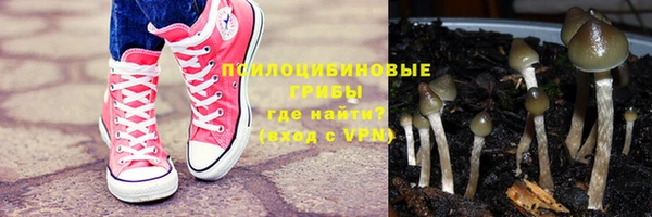ешки Волоколамск