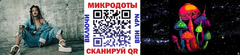 Псилоцибиновые грибы Psilocybine cubensis  Звенигород 